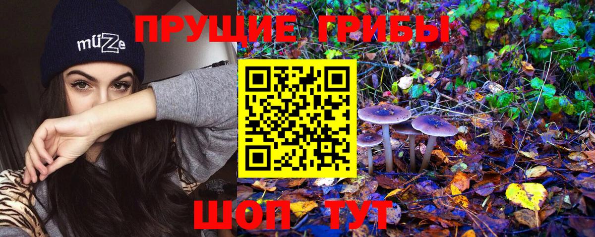 Псилоцибиновые грибы Psilocybe  Псилоцибиновые грибы Cubensis  Полевской  Вход с VPN 